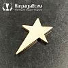 Награда арт. NV00313