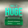 Награда арт. NV00167_base